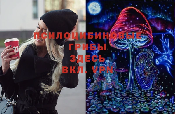 прущие грибы Балабаново