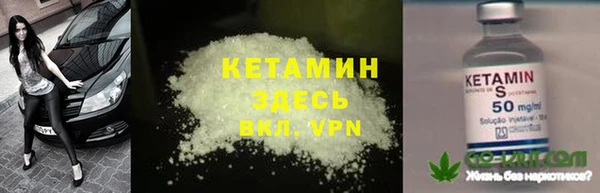 прущие грибы Балабаново