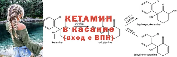 PSILOCYBIN Балахна