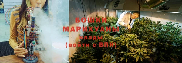 прущие грибы Балабаново