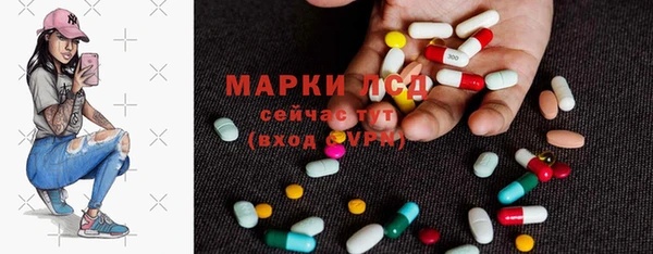 прущие грибы Балабаново