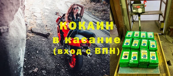 прущие грибы Балабаново
