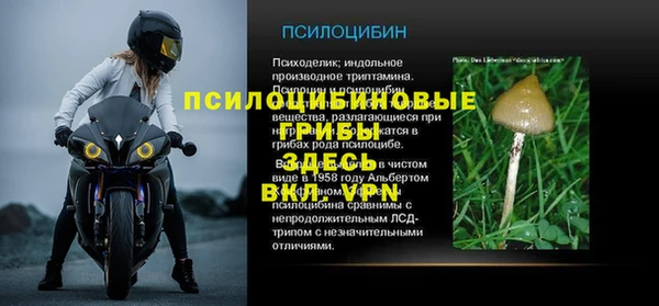 PSILOCYBIN Балахна