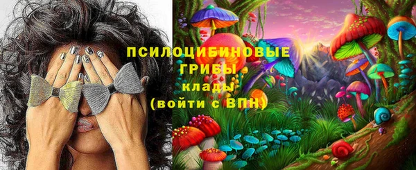 PSILOCYBIN Балахна